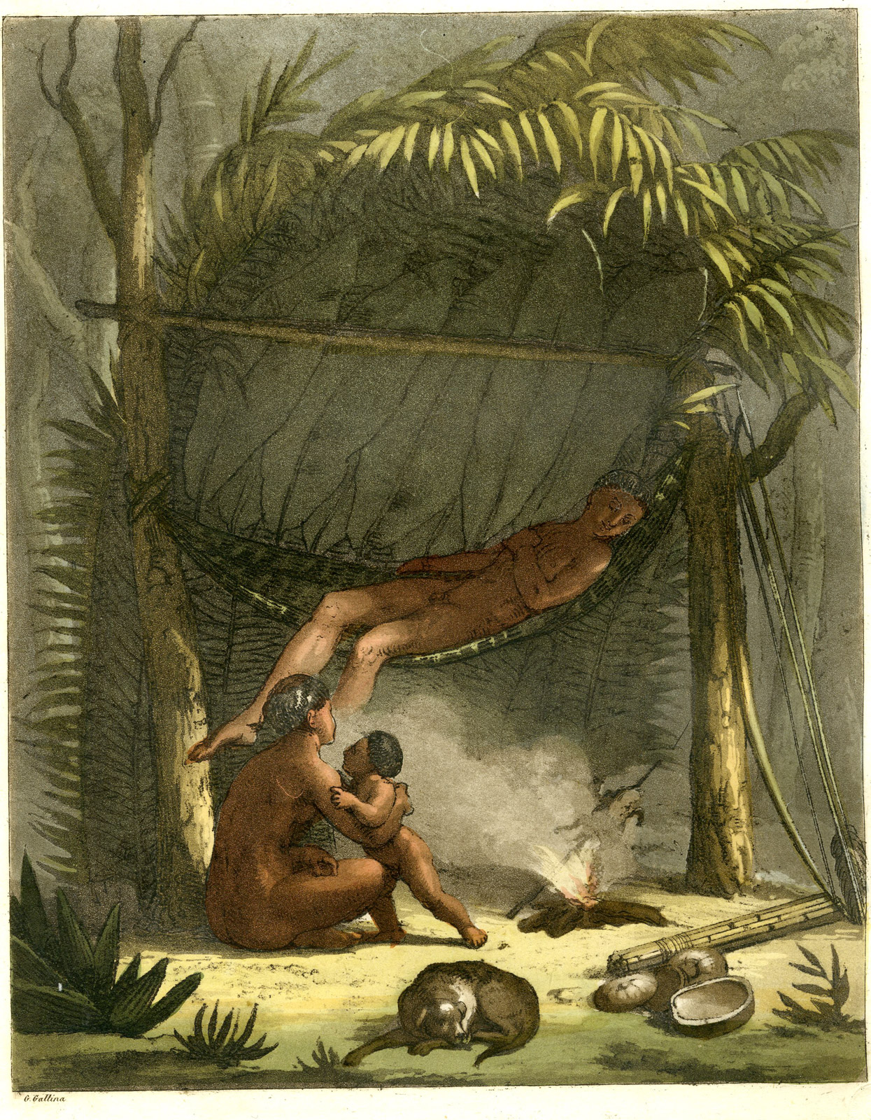 , Antique Print-PURI TRIBE-JUNGLE-CUARI-HUTS-BRAZIL-PL.47-Ferrario-Gallina-1821, Pictura Antique Prints