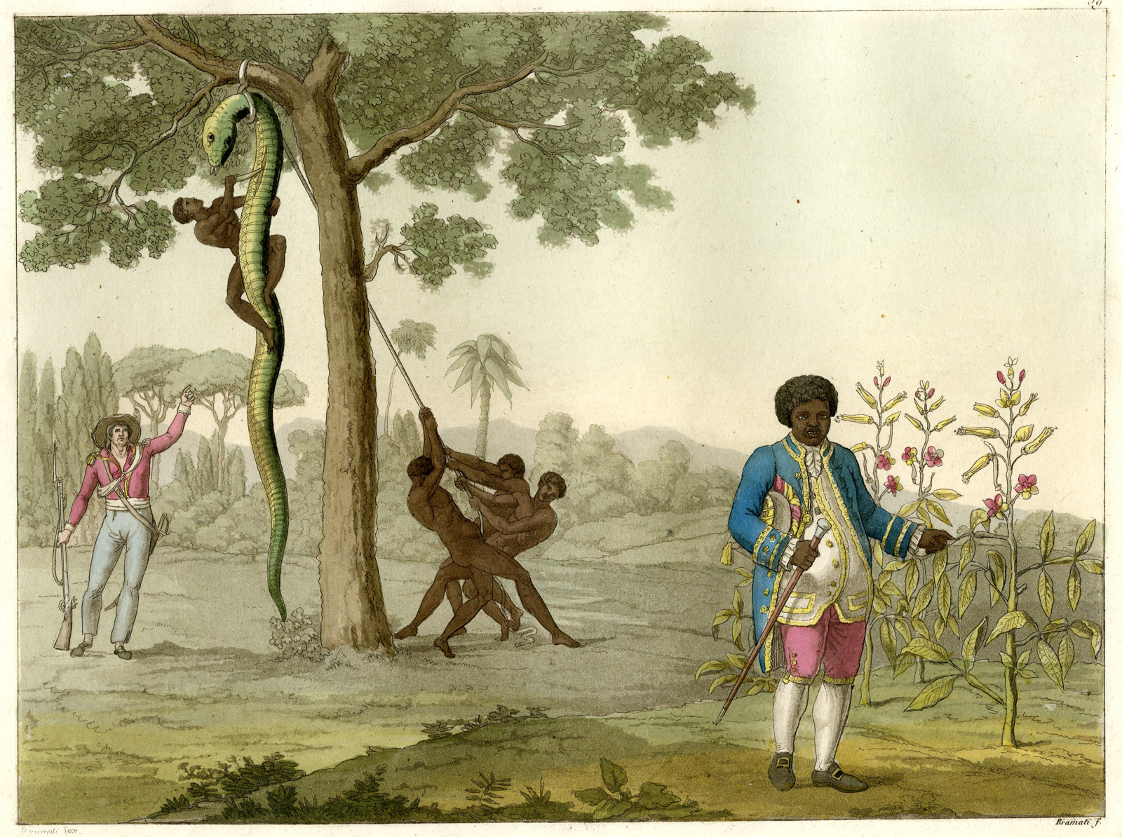 , Antique Print-GRAMAN QUASSI-BOTANIST-HEALER-SLAVERY-SURINAM-PL.-59-Ferrario-Bramati-1821, Pictura Antique Prints