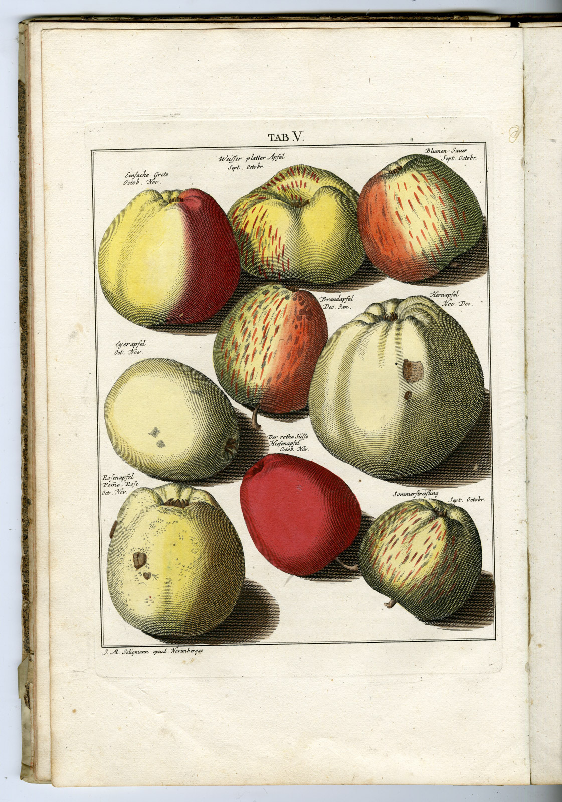 , Rare Antique Book-FRUIT-APPLES-PEARS-POMOLOGIA-Knoop-Seligmann-1760, Pictura Antique Prints