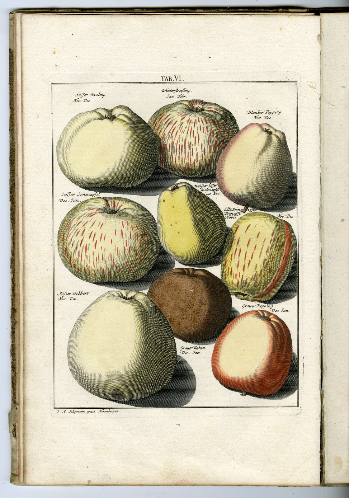 , Rare Antique Book-FRUIT-APPLES-PEARS-POMOLOGIA-Knoop-Seligmann-1760, Pictura Antique Prints
