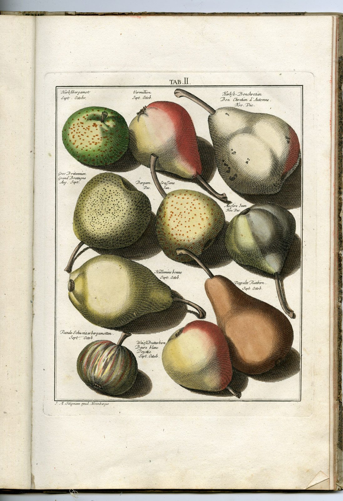 , Rare Antique Book-FRUIT-APPLES-PEARS-POMOLOGIA-Knoop-Seligmann-1760, Pictura Antique Prints