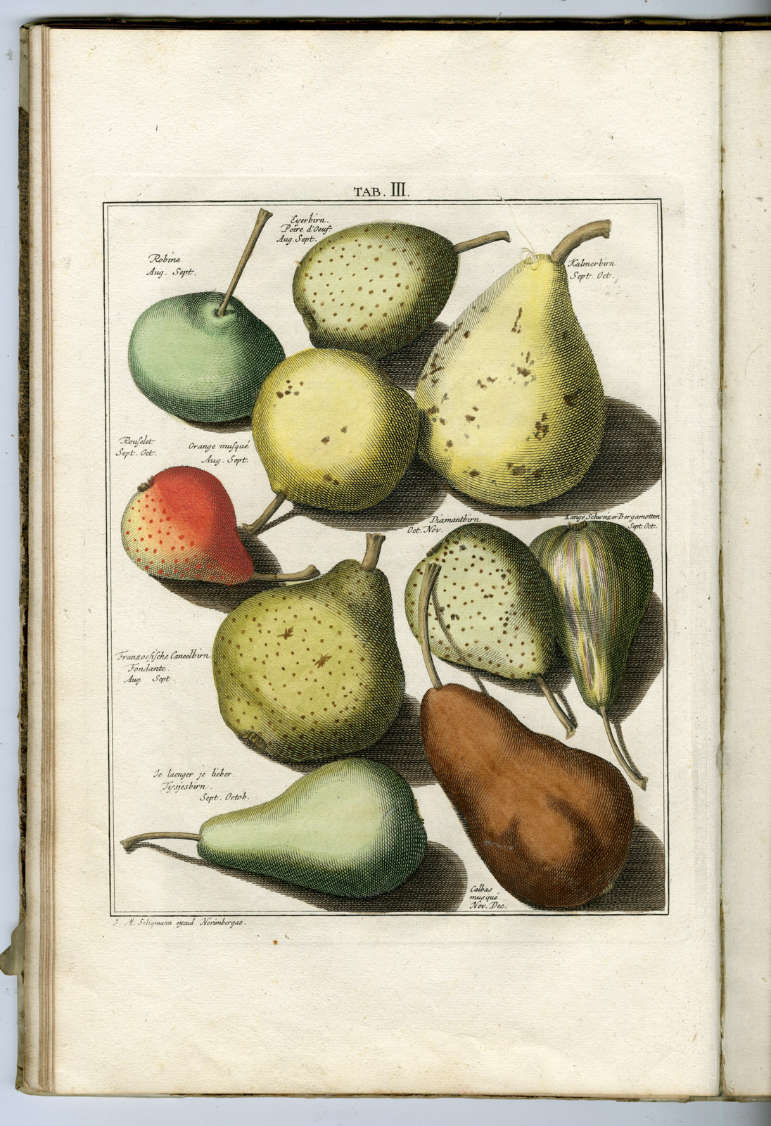 , Rare Antique Book-FRUIT-APPLES-PEARS-POMOLOGIA-Knoop-Seligmann-1760, Pictura Antique Prints
