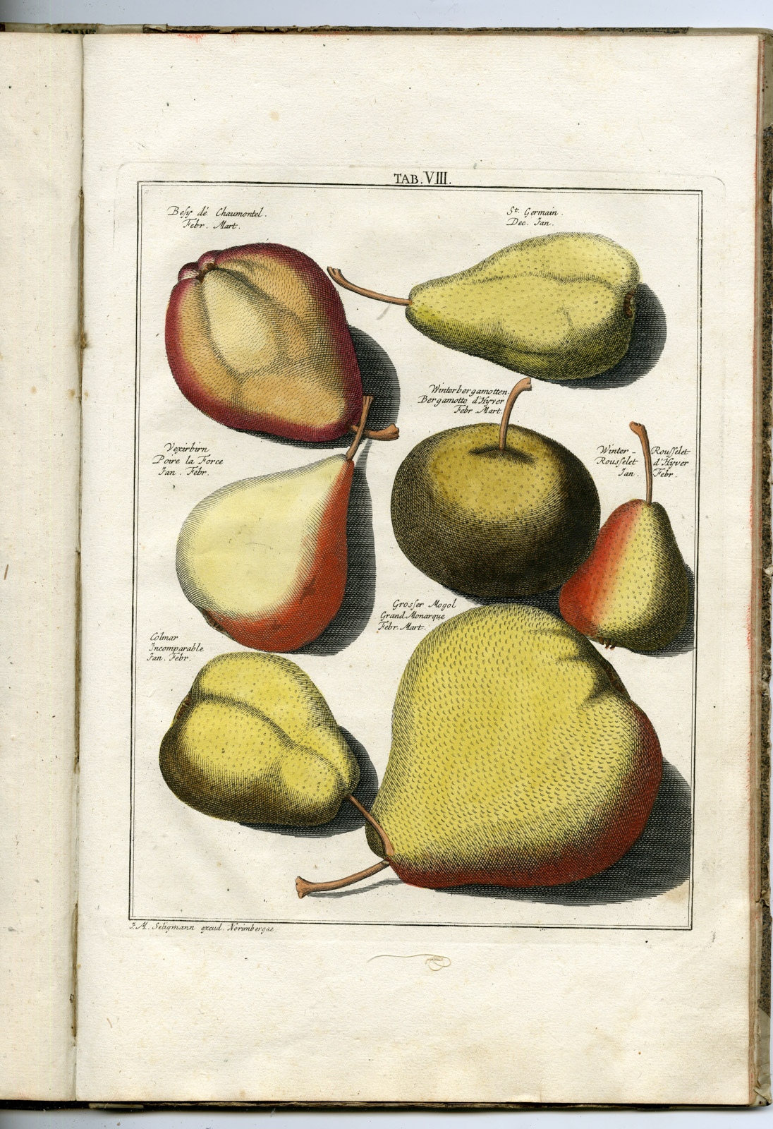 , Rare Antique Book-FRUIT-APPLES-PEARS-POMOLOGIA-Knoop-Seligmann-1760, Pictura Antique Prints