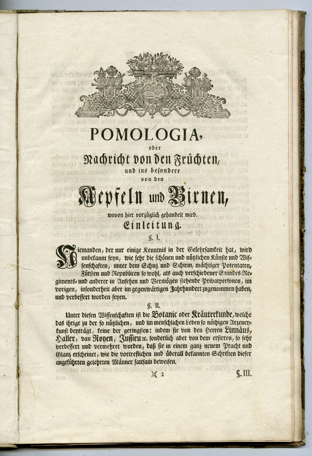 , Rare Antique Book-FRUIT-APPLES-PEARS-POMOLOGIA-Knoop-Seligmann-1760, Pictura Antique Prints