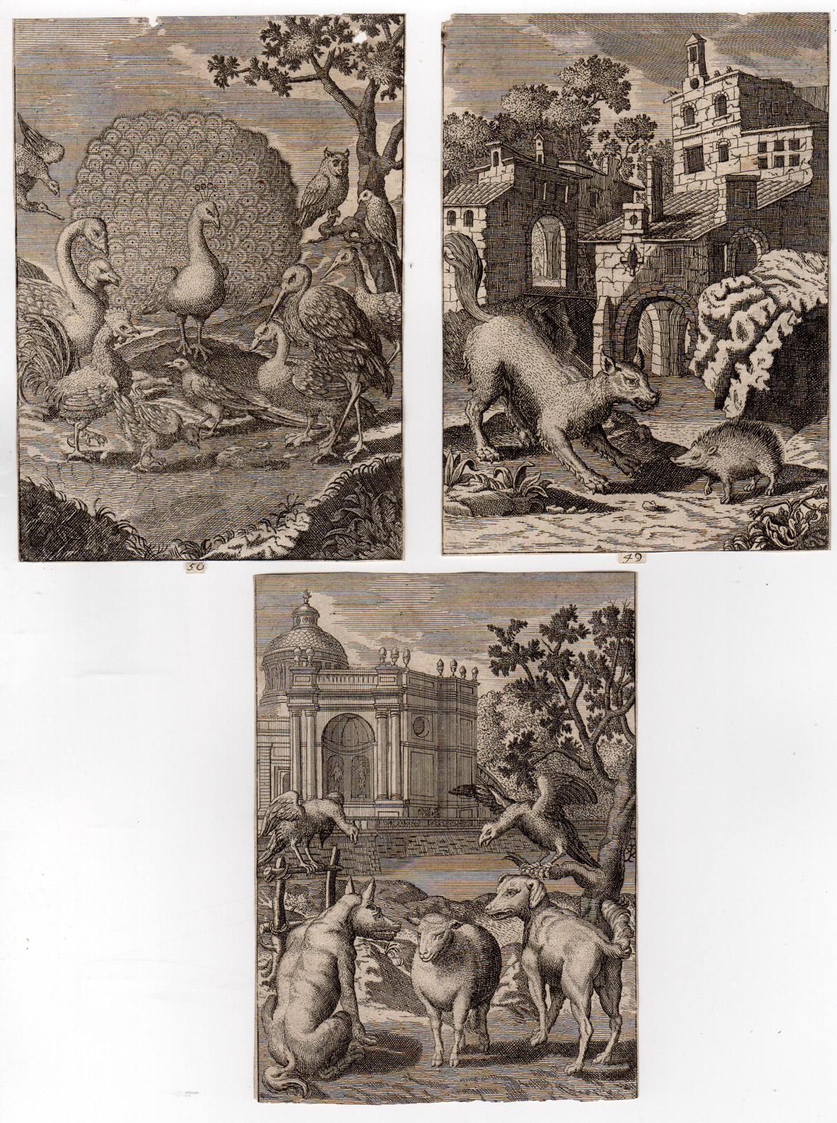 , 3 Antique Prints-FABLES 49-51-ANIMALS-BIRDS-Gheeraerts
-Krafft-1734, Pictura Antique Prints