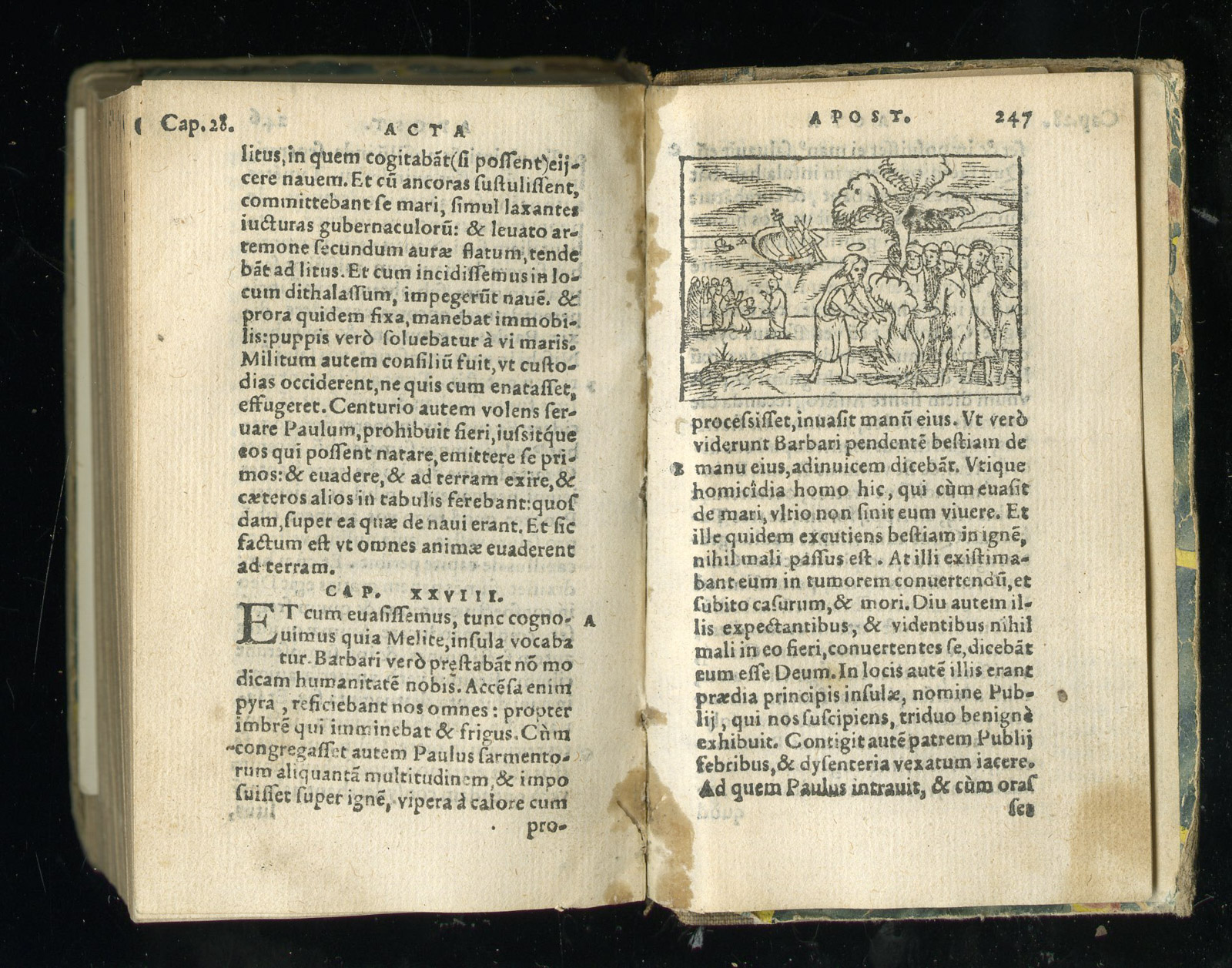 , Rare Antique Book-SANCTUM IESU CHRISTI-Steelsius-c.1550, Pictura Antique Prints