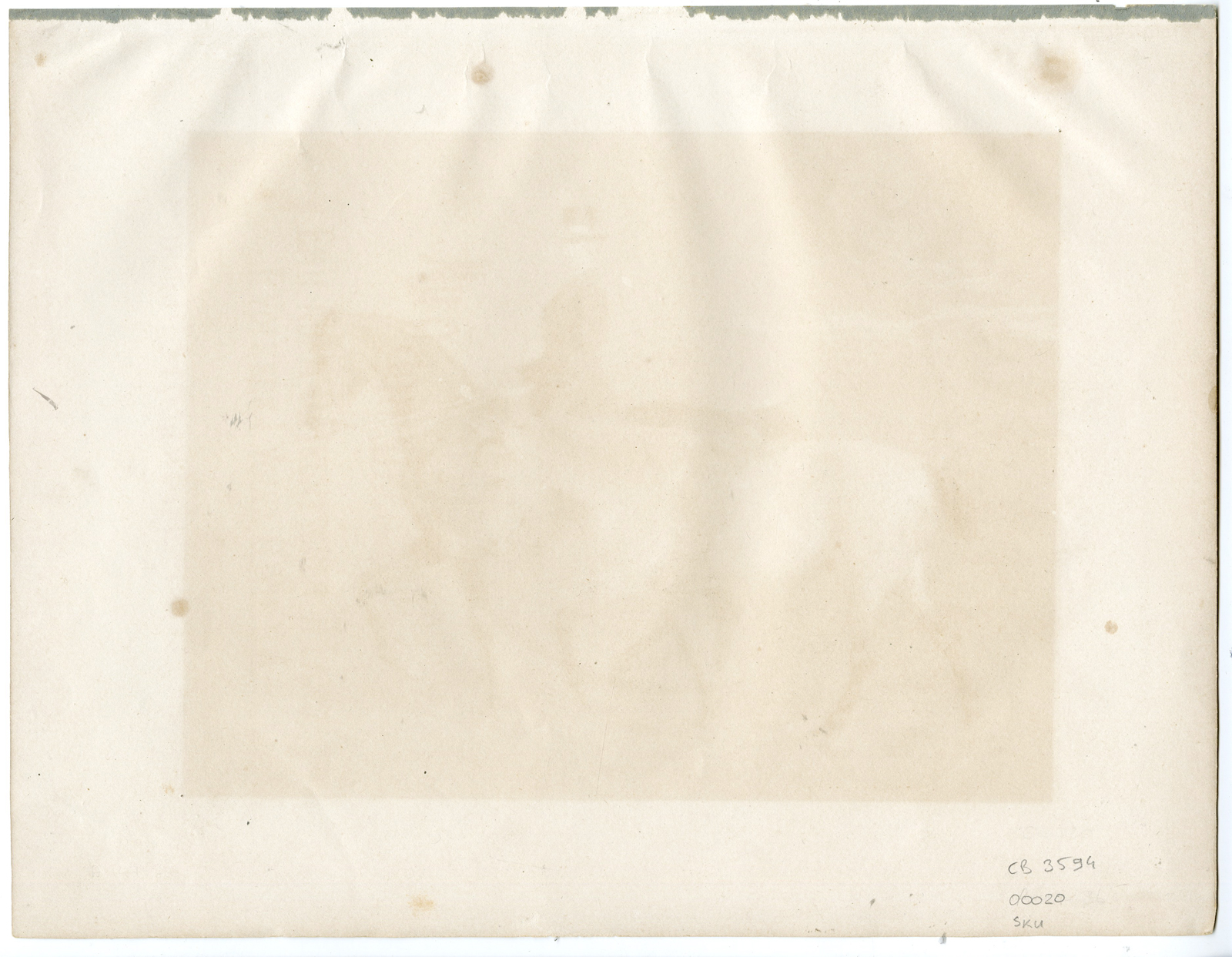 , Rare Antique Print-ENGLISH FULLBREAD-DOUBLE PONY-Volkers-1880, Pictura Antique Prints