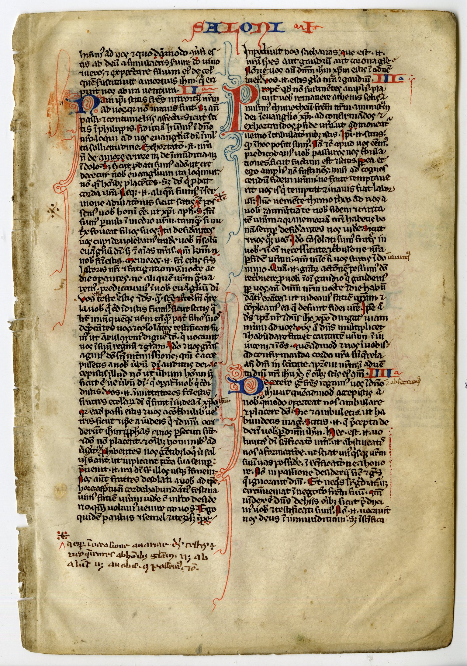 , Various Manuscripts from Book of Hours-Bibles-13-16th.c., Pictura Antique Prints