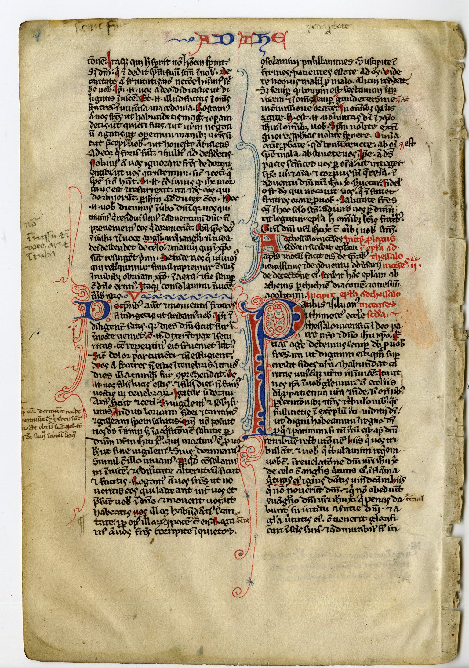 , Various Manuscripts from Book of Hours-Bibles-13-16th.c., Pictura Antique Prints
