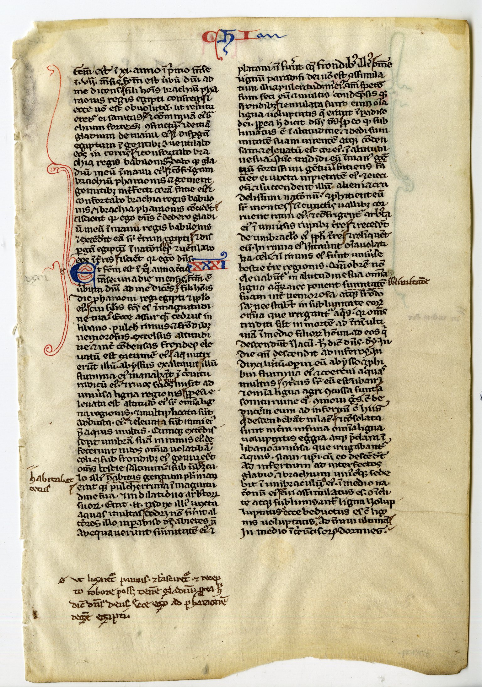 , Various Manuscripts from Book of Hours-Bibles-13-16th.c., Pictura Antique Prints