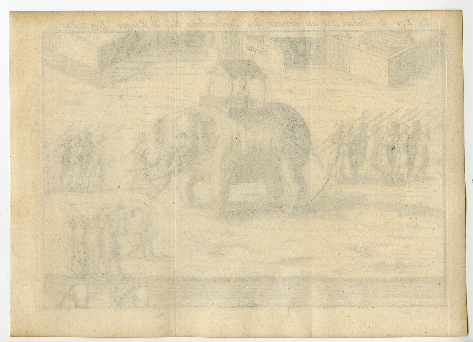 , Rare Antique Print-KING-TUBAN-ELEPHANT-EAST JAVA-INDONESIA-Argensola-1706, Pictura Antique Prints