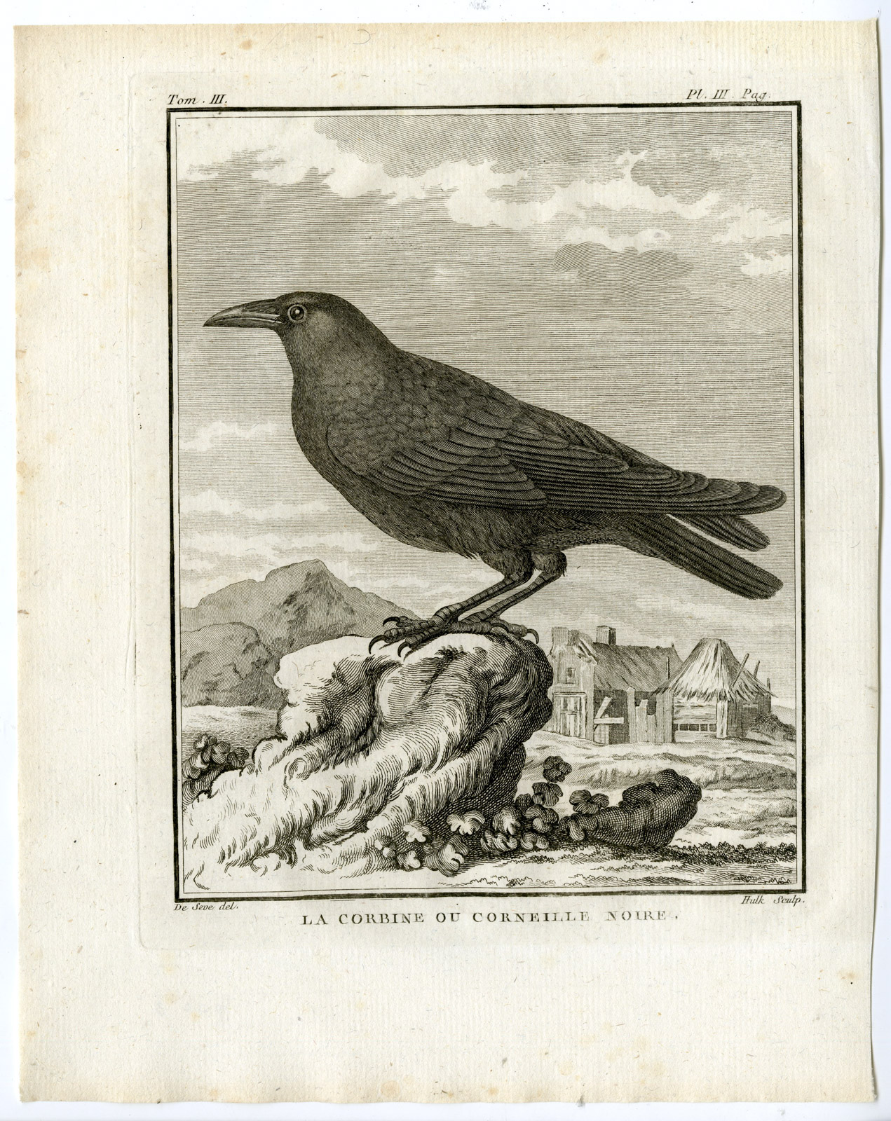 , Antique Print-CARRION CROW-CORVUS CORAX-CORBINE-PL. 3-de Seve-Buffon-Hulk-1775, Pictura Antique Prints