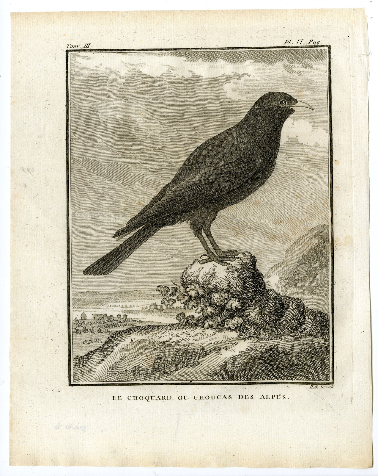 , Antique Print-ALPINE CHOUGH-PYRRHOCORAX GRACULUS-PL. 6-de Seve-Buffon-Hulk-1775, Pictura Antique Prints