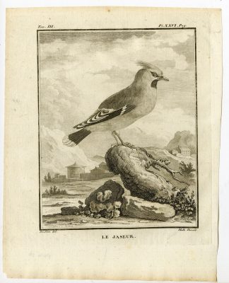 Antique Print-CEDAR WAXWING-BOMBACILLA-CEDRORUM-PL. 26-de Seve-Buffon-Hulk-1775