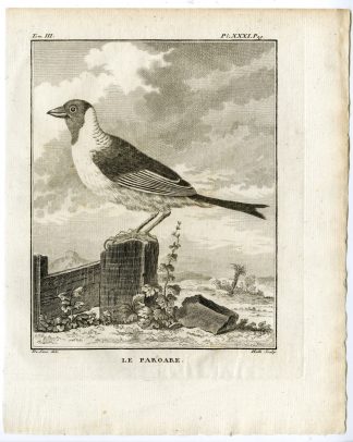 Antique Print-CARDINAL TANAGER-PAROARIA-PAROARE-PL. 31-de Seve-Buffon-Hulk-1775
