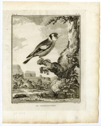 Antique Print-EUROPEAN GOLDFINCH-CARDUELIS-PL. 11-de Seve-Buffon-Hulk-1775