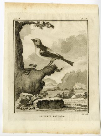 Antique Print-LE PETIT TANGARA-TANAGER-PL. 14-de Seve-Buffon-Hulk-1775