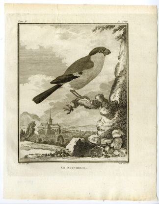 Antique Print-COMMON BULLFINCH-PYRRHULA-BOUVREUIL-PL. 18-Buffon-Hulk-1775