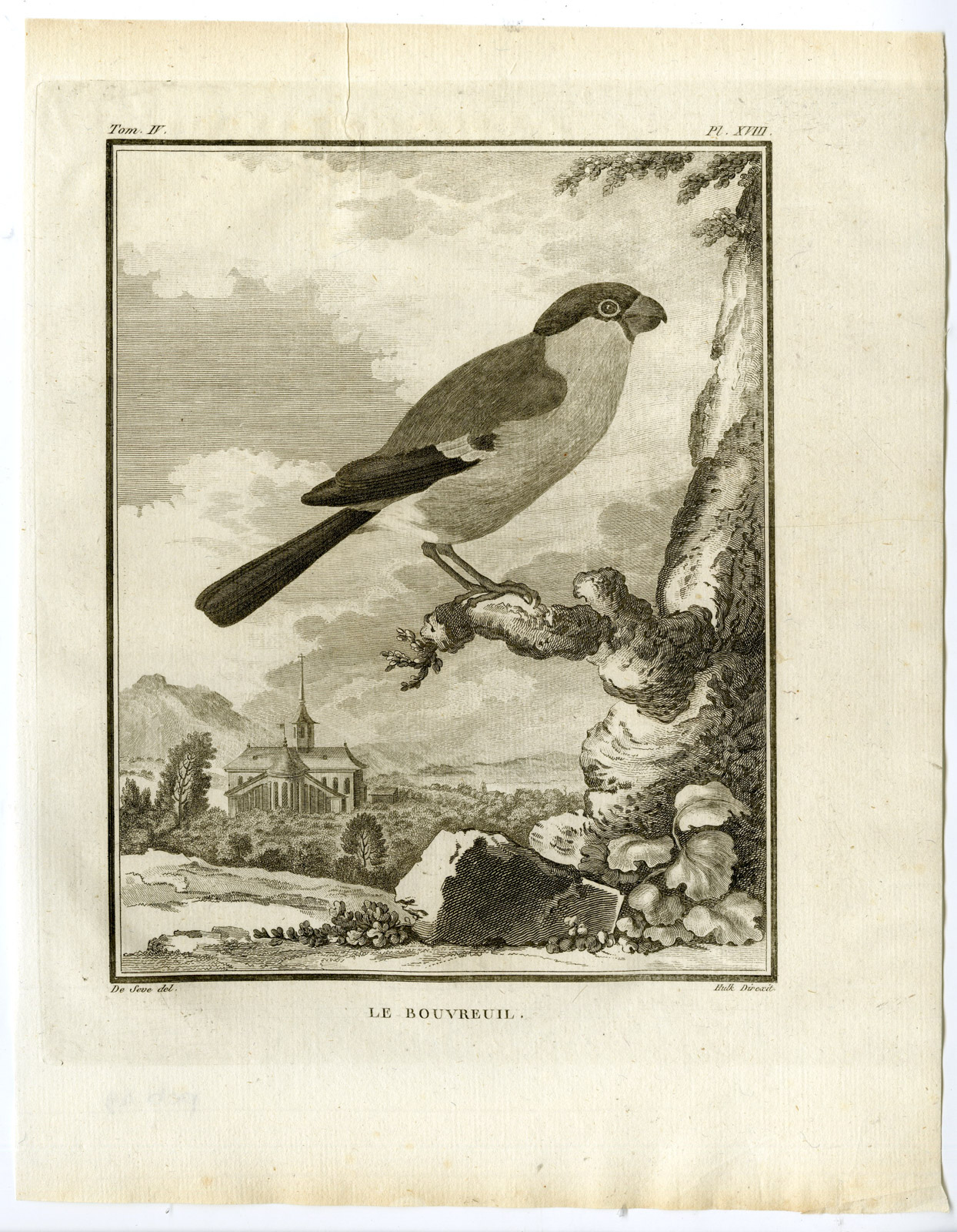 , Antique Print-COMMON BULLFINCH-PYRRHULA-BOUVREUIL-PL. 18-Buffon-Hulk-1775, Pictura Antique Prints