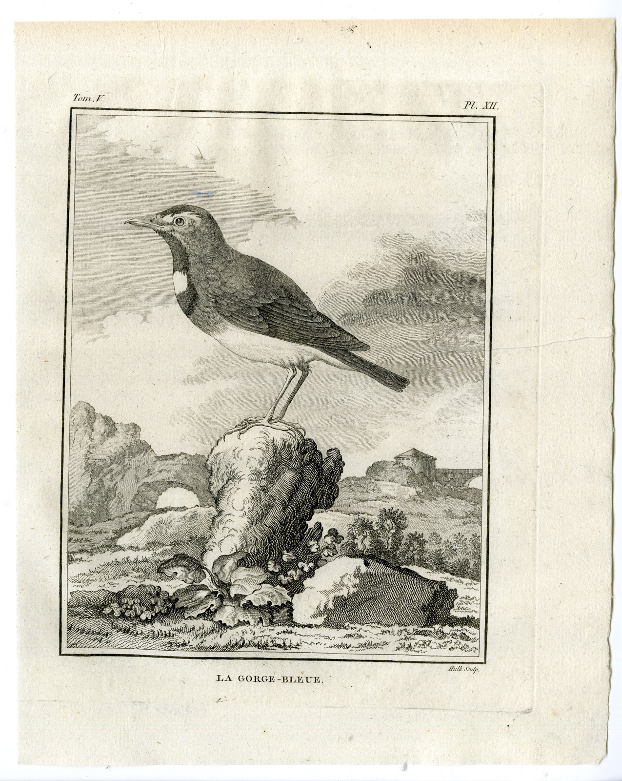 , Antique Print-BLUETHROAT-LUSCINIA SVECICA-GORGE BLEUE-PL. 12-Buffon-Hulk-1775, Pictura Antique Prints