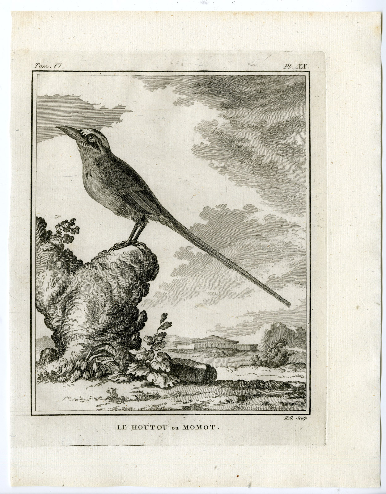 , Antique Print-AMAZONIAN MOTMOT-MOMOTUS MOMOTA-PL. 20-de Seve-Buffon-Hulk-1775, Pictura Antique Prints
