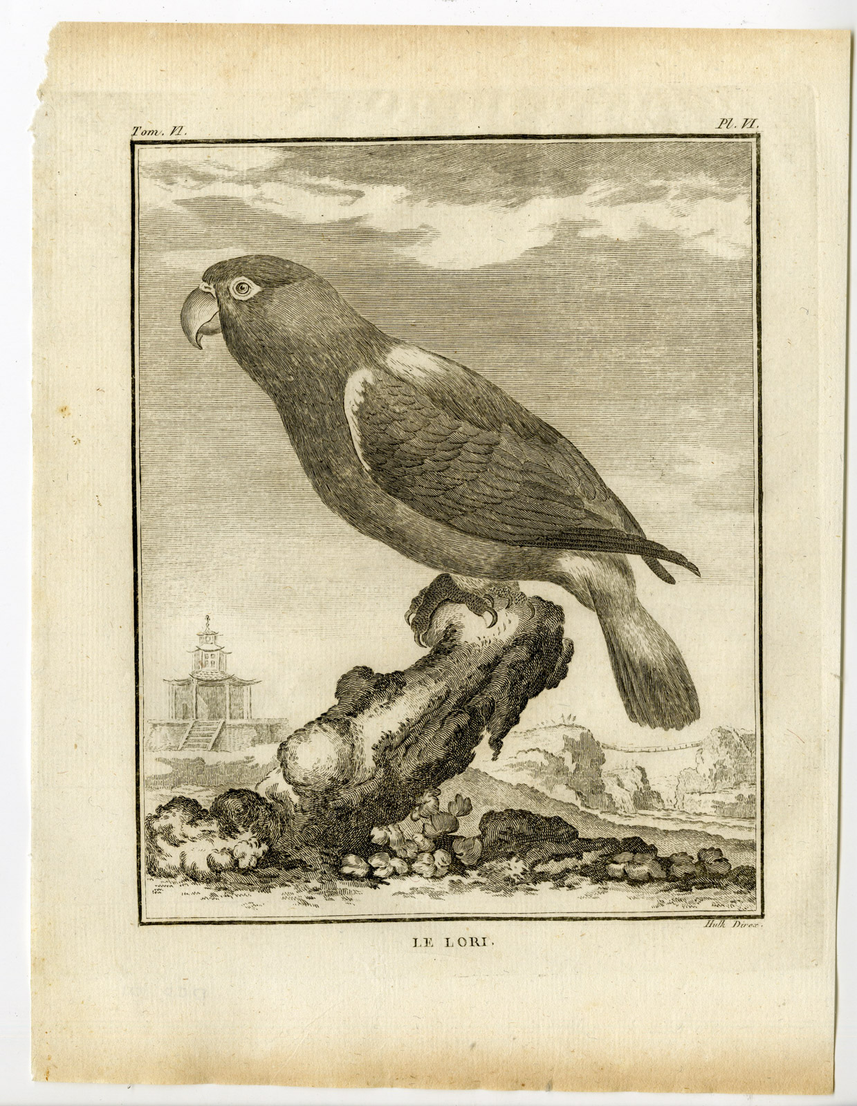 , Antique Print-LORY-PARROT-LORI-LORIKEET-PL. 6-de Seve-Buffon-Hulk-1775, Pictura Antique Prints