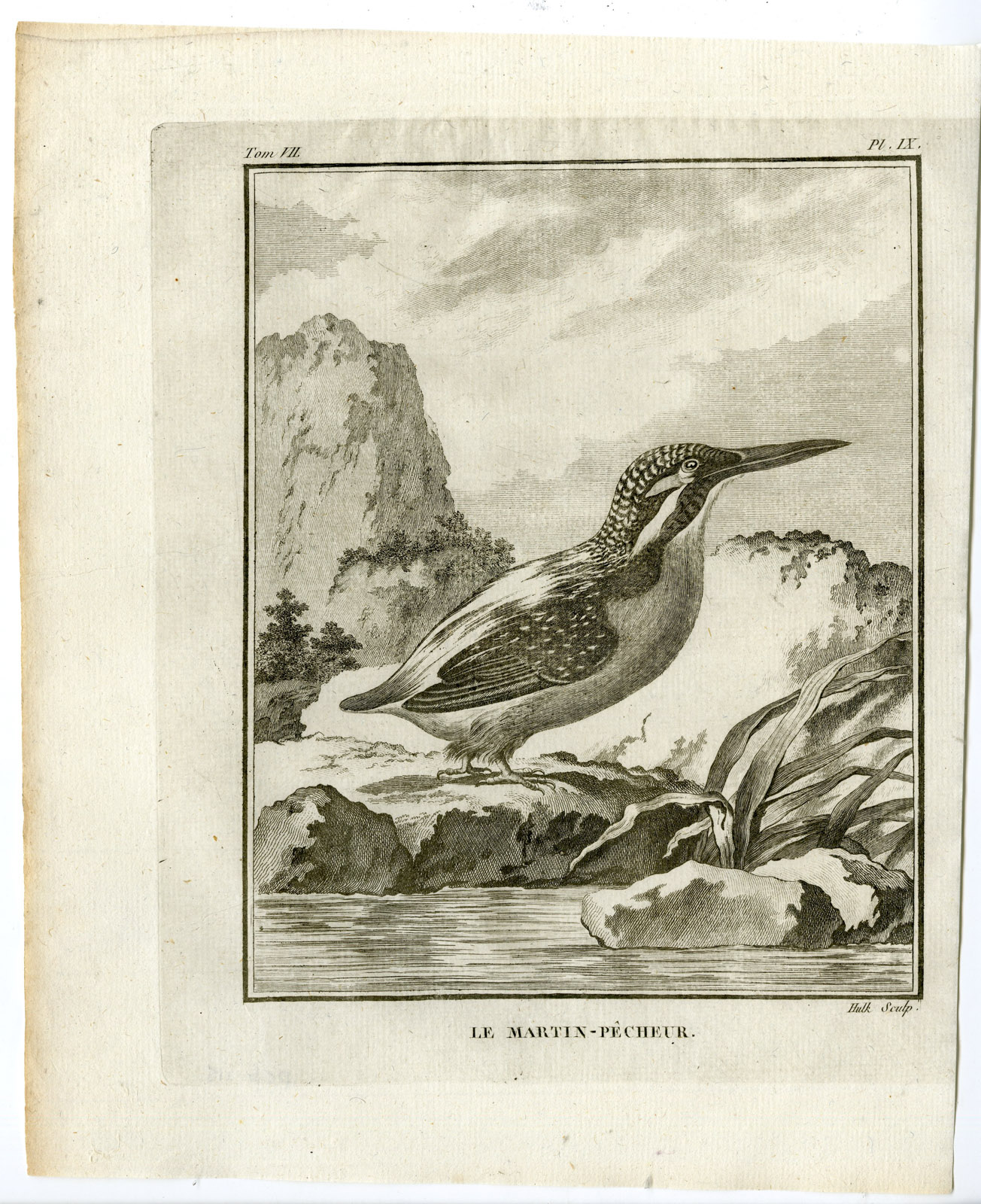 , Antique Print-COMMON KINGFISHER-ALCEDO ATTHIS-PL. 9-de Seve-Buffon-Hulk-1775, Pictura Antique Prints