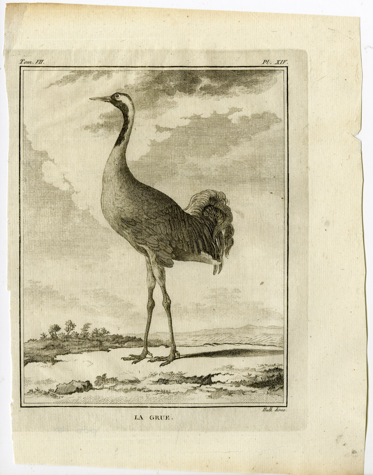 , Antique Print-COMMON CRANE-EURASIAN-GRUS-GRUE-PL. 14-de Seve-Buffon-Hulk-1775, Pictura Antique Prints