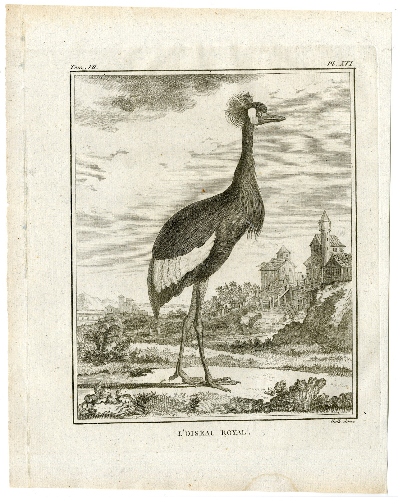 Pco 18937 416x520 Antique Print-GREY CROWNED CRANE-BALEARICA REGULORUM-PL. 16-Buffon-Hulk-1775