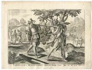 Rare Antique Master Print-SPIES-FRUIT-VINES-CANAAN-after de Vos-c.1600