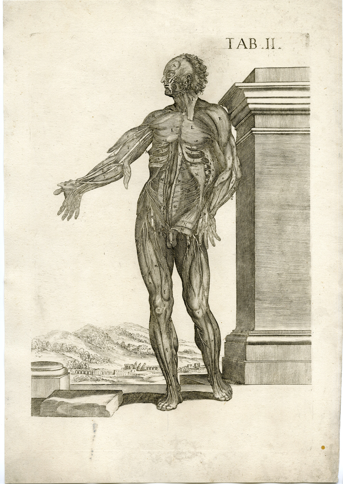 Pco 4977 416x586 Rare Antique Print-MALE ANATOMY-T.II-MUSCLES-VEINES-da Cortona-Chiamberlano-1788