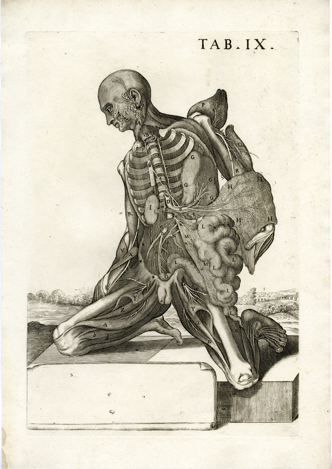 , Antique Print-VERTEBRAE-ORGAN-AORTA-INTESTINES-BONE-Cortona-Chiamberlano-1788, Pictura Antique Prints