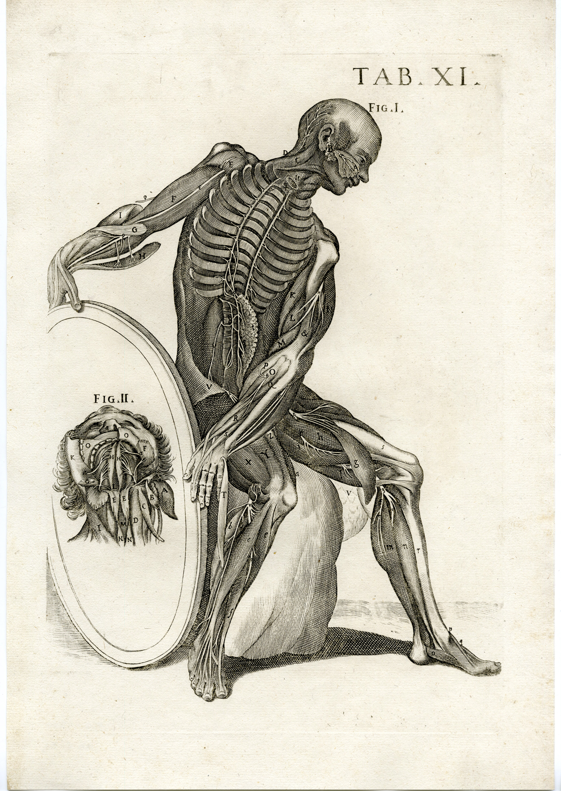 , Rare Antique Print-VERTEBRAE-ARM-LEG-RIB CAGE-BONE-JAW-Cortona-Chiamberlano-1788, Pictura Antique Prints
