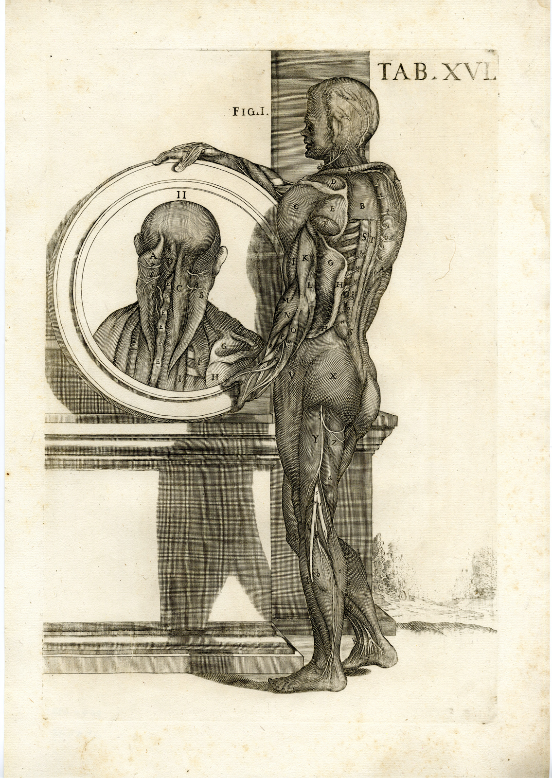 , Rare Antique Print-MUSCLE SYSTEM-VERTEBRAL COLUMN-Cortona-Chiamberlano-1788, Pictura Antique Prints