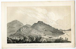 Antique Print-UTAH-SALT LAKE-GUNNISON ISLAND-Stansbury-Ackerman-1852