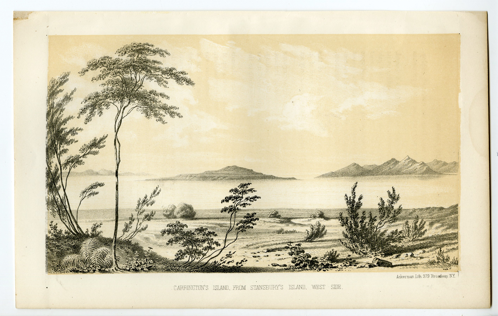 , Antique Print-UTAH-GREAT SALT LAKE-CARRINGTON ISLAND-Stansbury-Ackerman-1852, Pictura Antique Prints