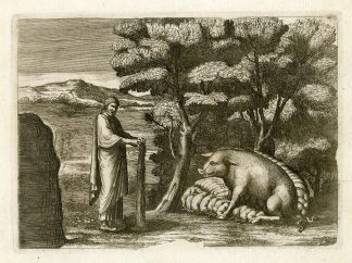 Antique Print-BOAR-PIGLETS-GRECO ROMAN MYTHOLOGY-PL. 149-Bartoli-Anonymous-1782