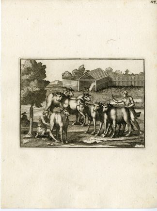 Antique Print-COW-MILKING-GRECO ROMAN MYTHOLOGY-PL. 124-Bartoli-anonymous-1782