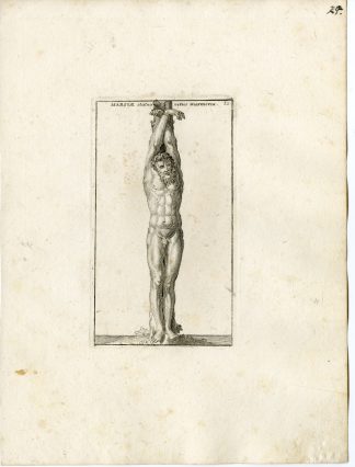 Antique Print-MARSYAS-SATYR-GRECO ROMAN MYTHOLOGY-PL. 29-Bartoli-anonymous-1782