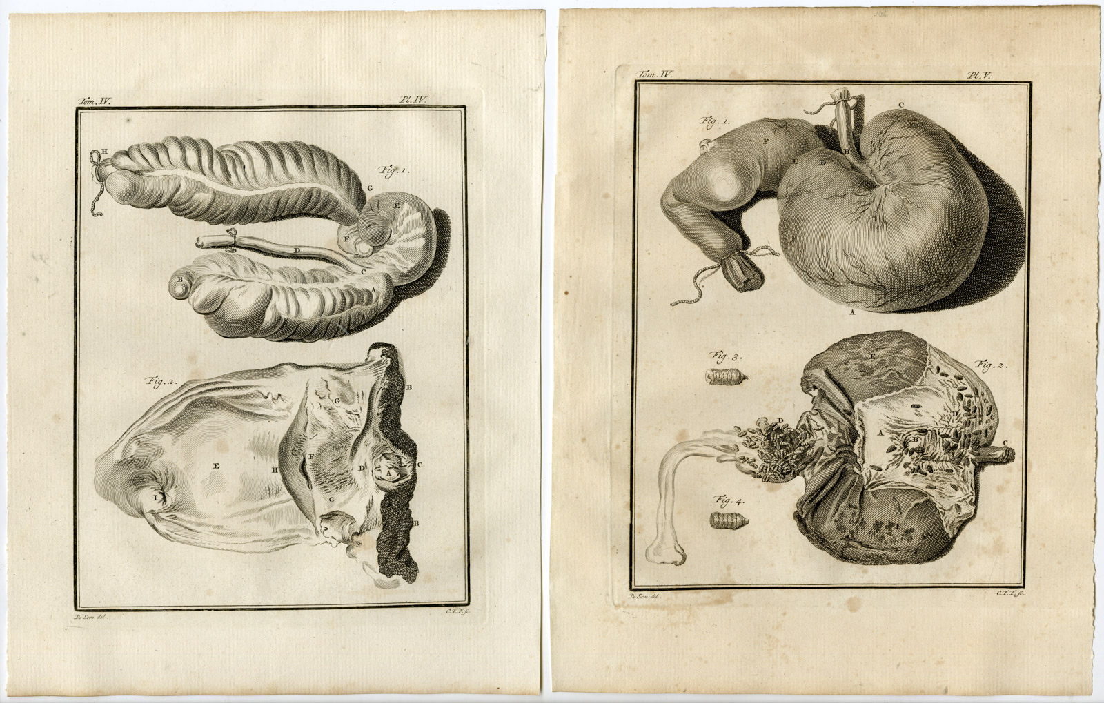 , 10 Antique Prints-HORSE-SKELETON-ANATOMY-PL. 1-10-Fritsch-Buffon-1775, Pictura Antique Prints