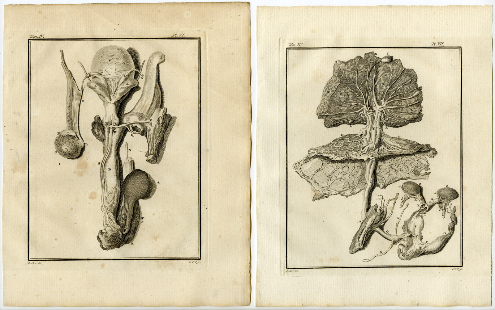 , 10 Antique Prints-HORSE-SKELETON-ANATOMY-PL. 1-10-Fritsch-Buffon-1775, Pictura Antique Prints