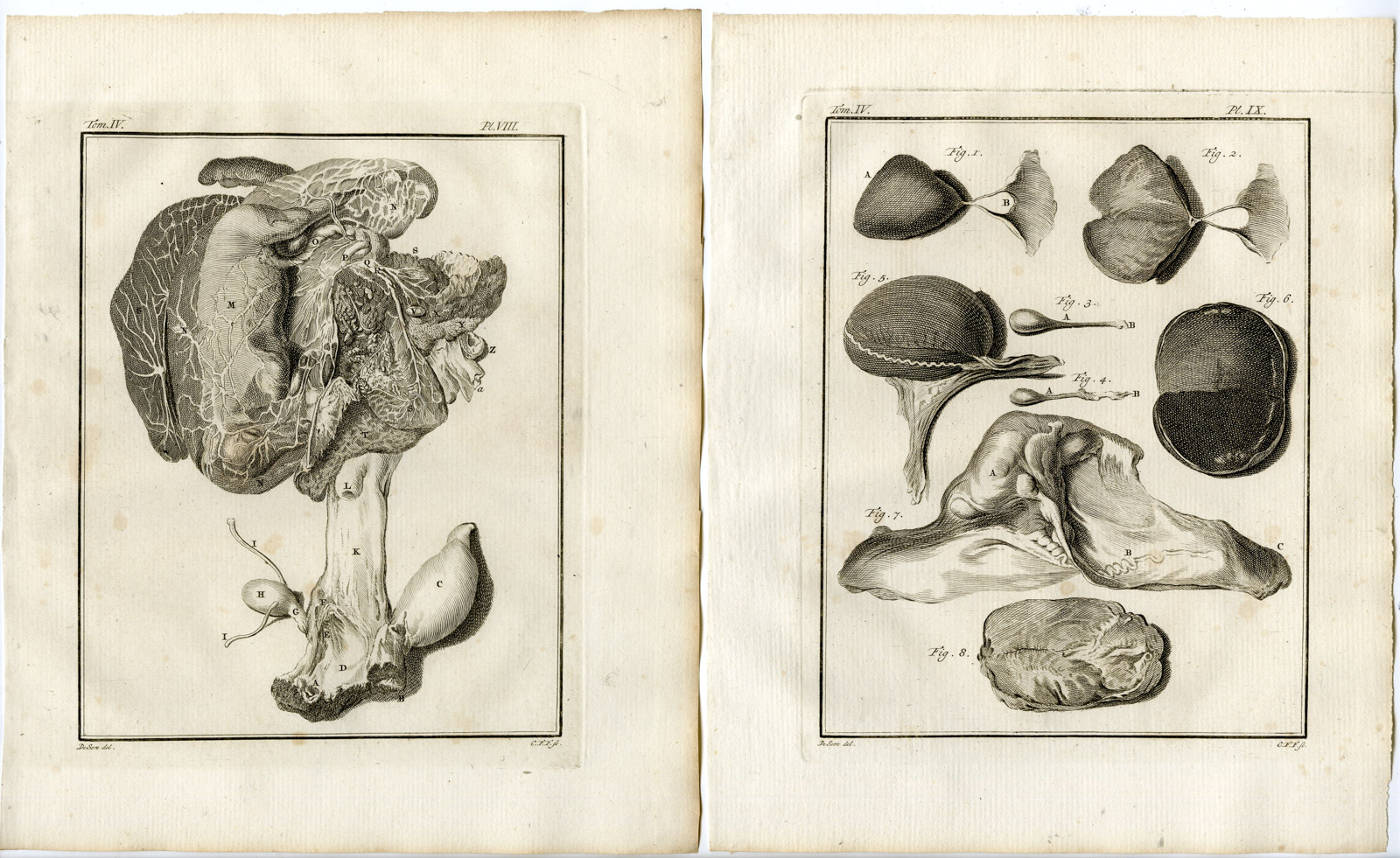 , 10 Antique Prints-HORSE-SKELETON-ANATOMY-PL. 1-10-Fritsch-Buffon-1775, Pictura Antique Prints
