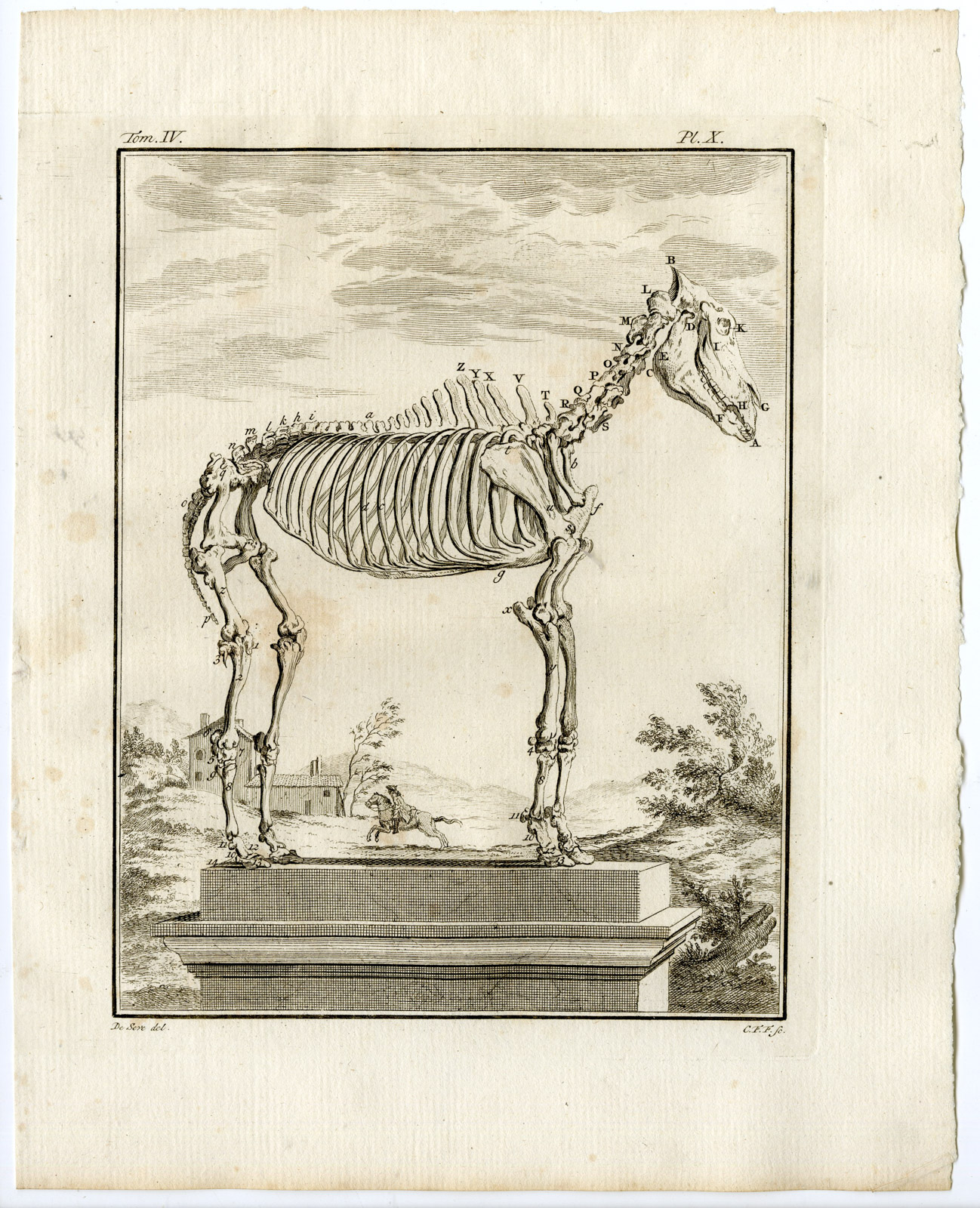 , 10 Antique Prints-HORSE-SKELETON-ANATOMY-PL. 1-10-Fritsch-Buffon-1775, Pictura Antique Prints