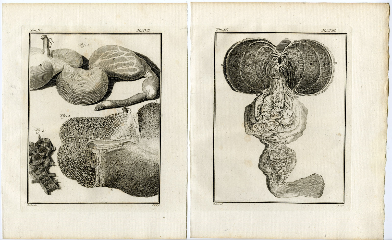 , 10 Antique Prints-BULL-COW-ORGANS-SKELETON-ANATOMY-PL. 14-23-Fritsch-Buffon-1775, Pictura Antique Prints
