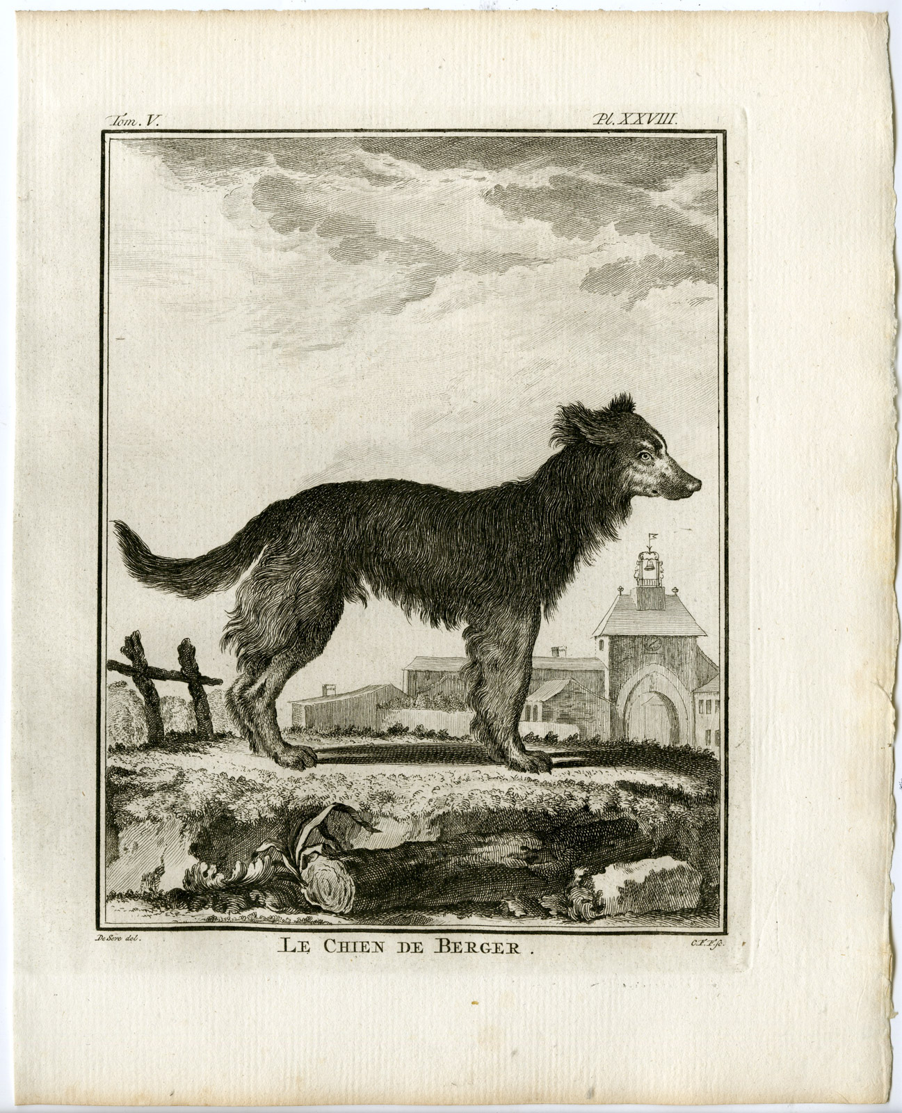 , Antique Print-DOG BREEDS-SHEPHERD-HERDING-SHEEPDOG-PL. 28-Fritsch-Buffon-1775, Pictura Antique Prints