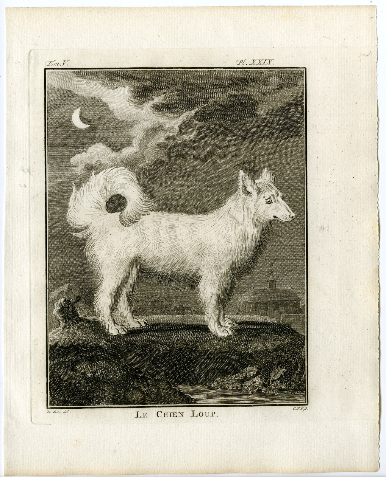 , Antique Print-DOG BREEDS-WOLFDOG-CHIEN LOUP-PL. 29-Fritsch-Buffon-1775, Pictura Antique Prints