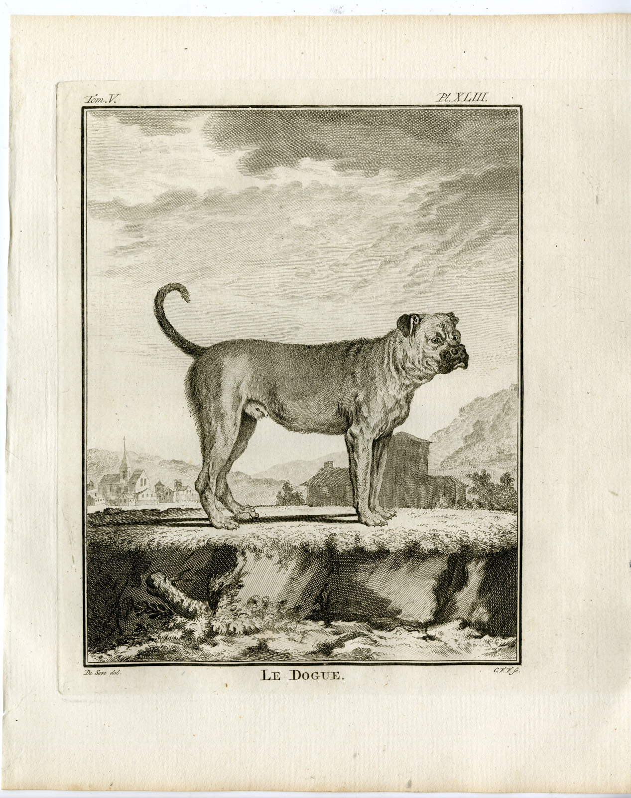 , Antique Print-DOG BREEDS-MASTIFF-DOGUE-PL. 43-Fritsch-Buffon-1775, Pictura Antique Prints
