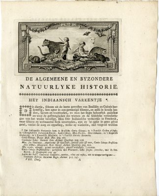 Antique Print-TITLE VIGNETTE-BEAR-RACCOON-GUINEA PIG-BAT-Buffon-1776