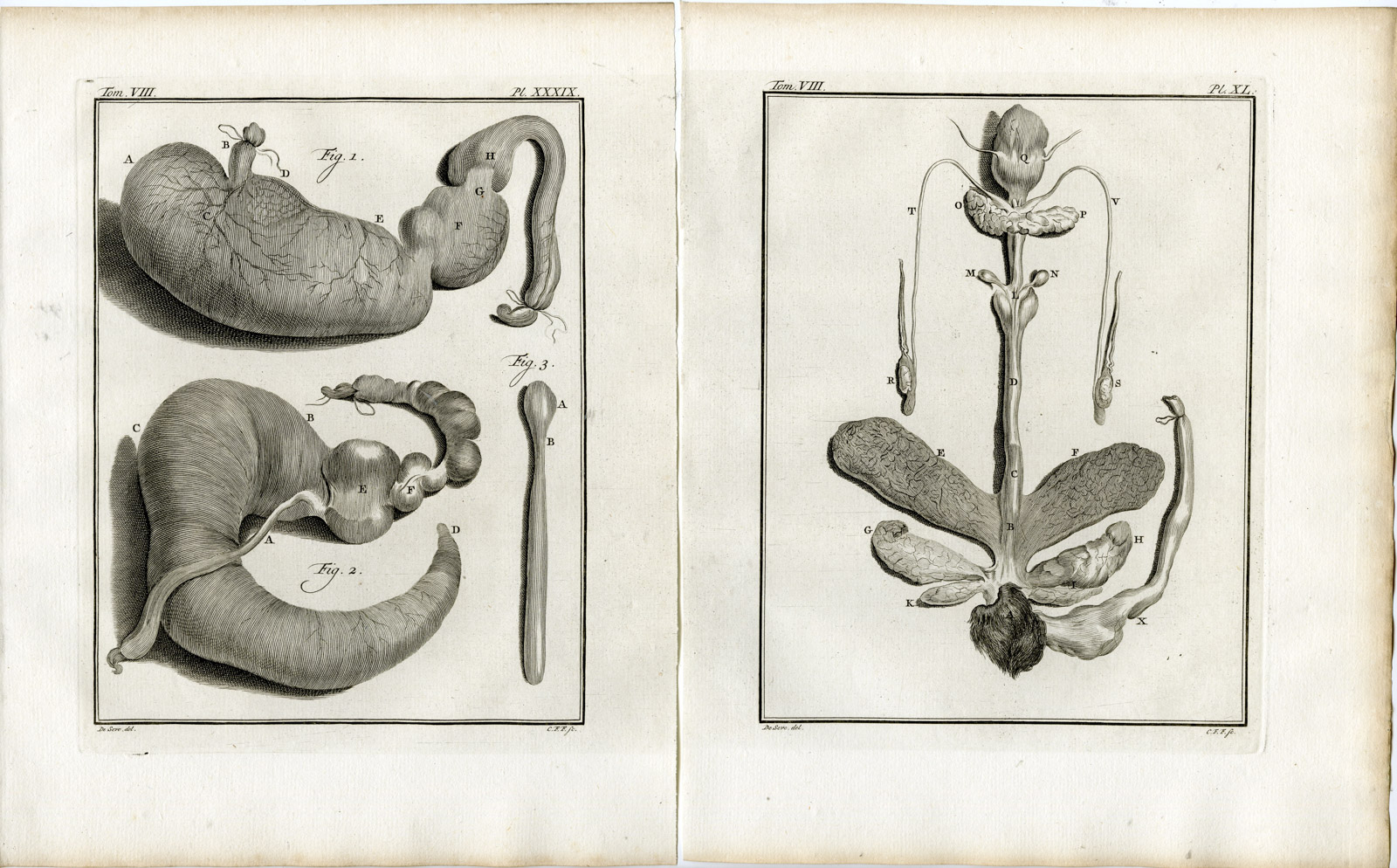 , 7 Antique Prints-BEAVER-CASTOR-SKELETON-PL.36-42-Fritsch-Vinkeles-Buffon-1776, Pictura Antique Prints
