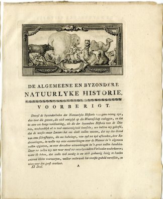 Antique Print-TITLE VIGNETTE-ELEPHANT-RHINOCEROS-CAMEL-Anonymous-Buffon-1779